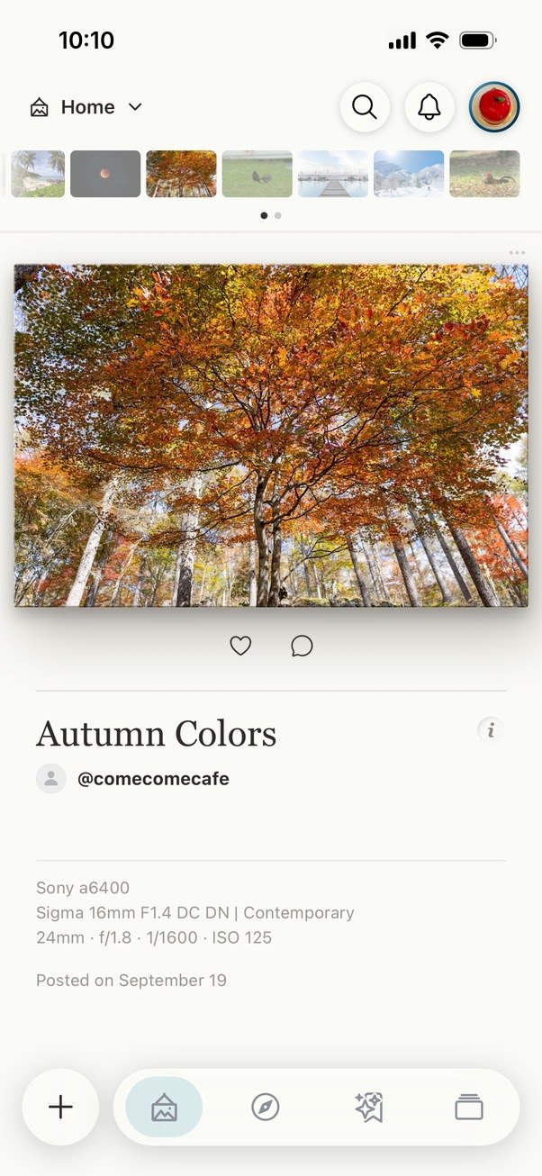 MAHORO home feed showing a photo of autumn leaves