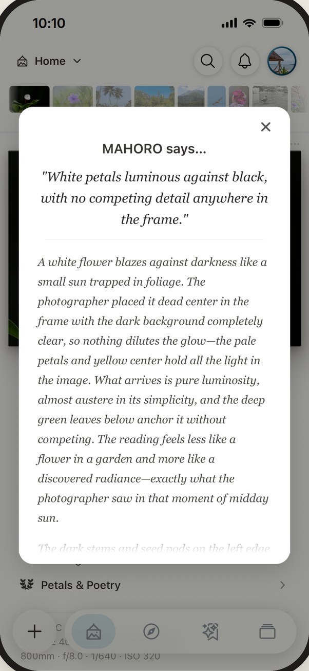 MAHORO says… a written reading of a photo